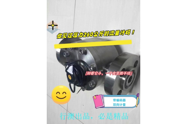 XALA圓齒輪流量計（法蘭連接）